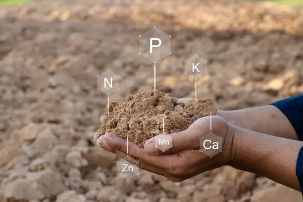 growth promoters byh SRM college