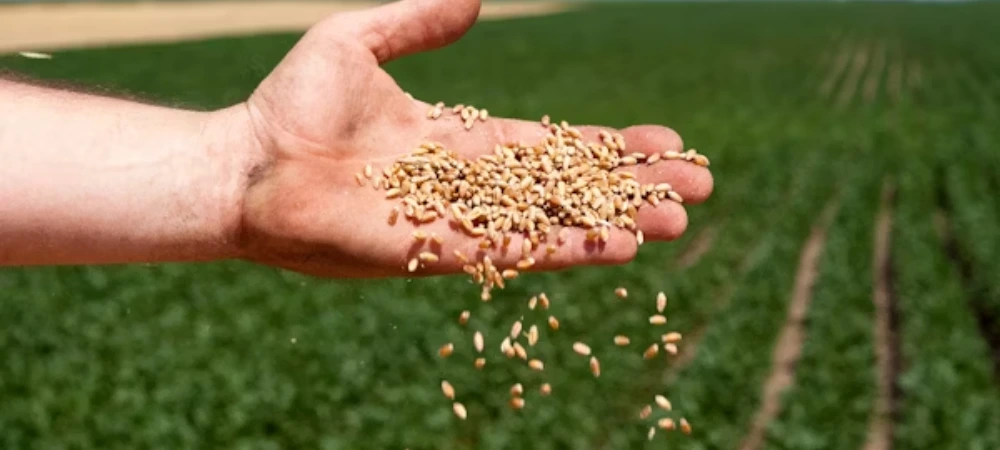 Farmers get ₹3,900 crore Crop Insurance payout from centre