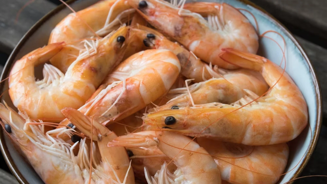 Shrimp industry in turmoil as 50% Reciprocal Tariff strike by U.S.