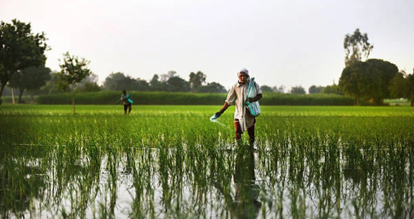 India’s urea imports push global prices higher