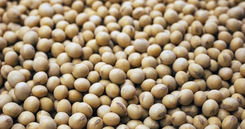 Centre considering addition of soyameal to Bharat atta