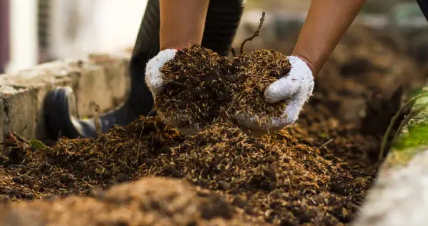 GSFC: DAP production no longer economically viable amid rising input costs