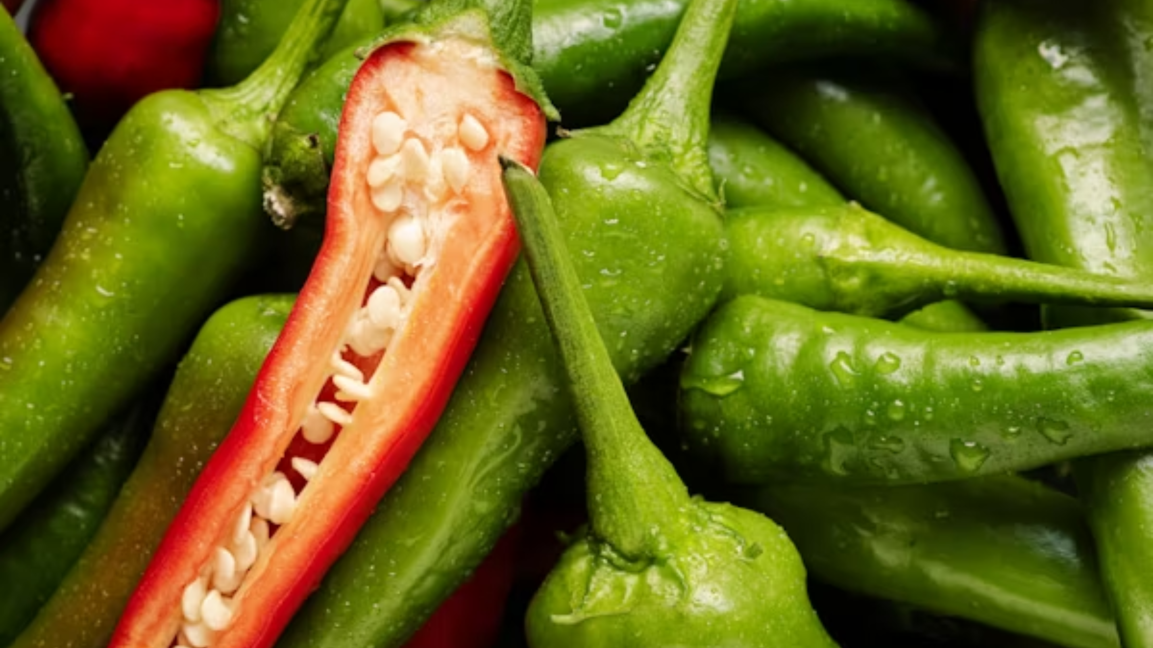 Kharif Red Chilli cultivation area likely to shrink